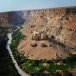 العسل الدوعني: “الذهب السائل الحضرمي” الذي يغزو الأسواق العالمية