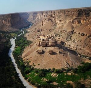 Screenshot_٢٠٢١٠٣١٧-١٧٤٤٤١_Chrome-1024x988